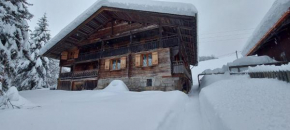 CHARMIEUX appartement en chalet typique
